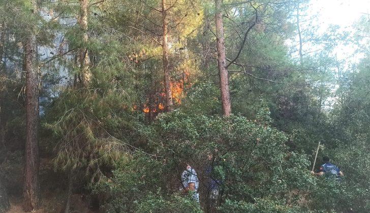 Denizli'de orman yangını çıktı G3