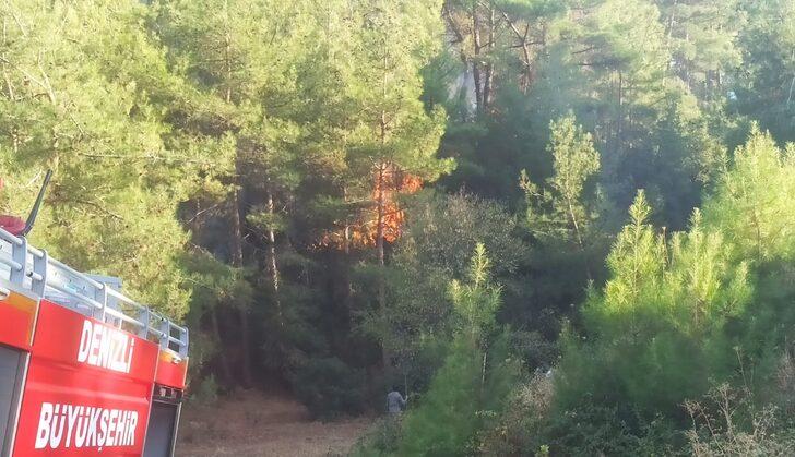 Denizli'de orman yangını çıktı G1