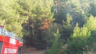 GÜNCELLEME - Denizli'de çıkan orman yangını kontrol altına alındı