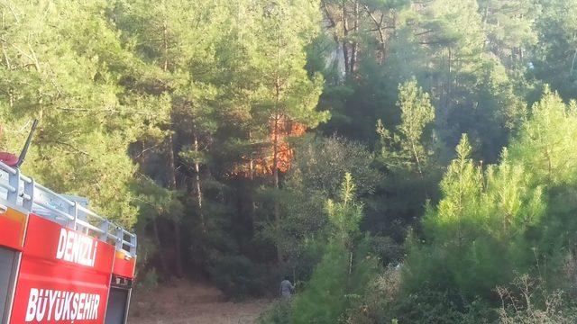 GÜNCELLEME - Denizli'de çıkan orman yangını kontrol altına alındı