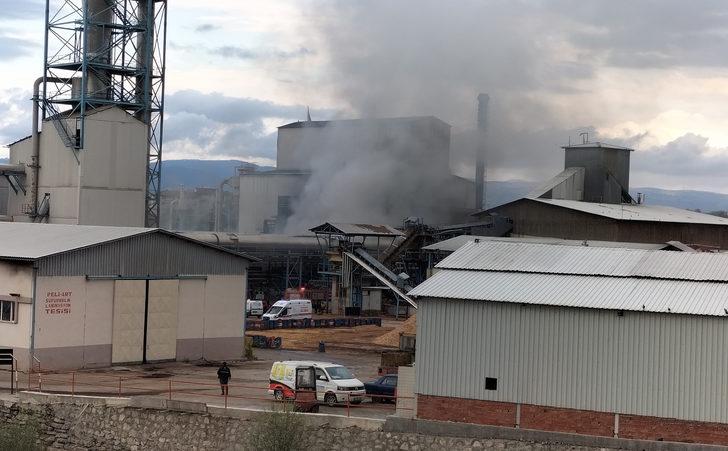 Samsun'da orman ürünleri işlenen fabrikada çıkan yangın hasara neden oldu G1