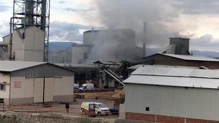 Samsun'da orman ürünleri işlenen fabrikada çıkan yangın hasara neden oldu