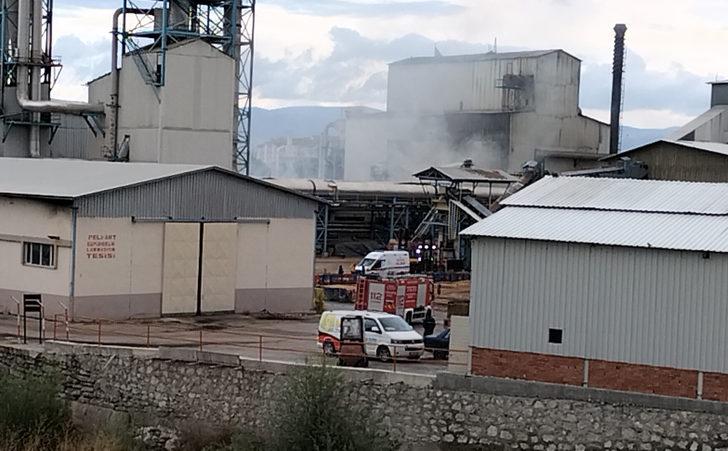 Samsun'da orman ürünleri işlenen fabrikada çıkan yangın hasara neden oldu G4
