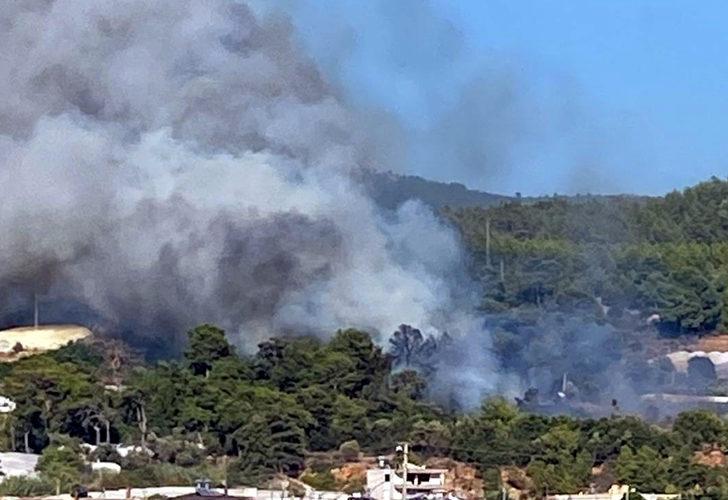 Antalya'da orman yangını rüzgarın etkisiyle büyüyor! Evler ve seralar zarar gördü...