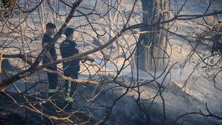 GÜNCELLEME - Antalya'nın Kumluca ilçesindeki orman yangını kontrol altına alındı