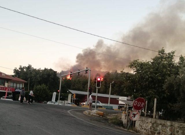 Muğla Ula'da orman yangını başladı