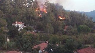 Muğla Ula'da orman yangını başladı
