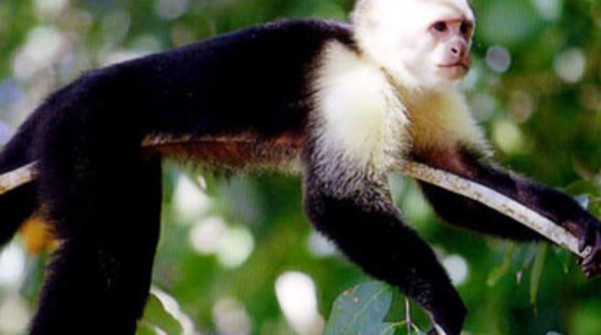 Para kullanmayı &ouml;ğrenince fuhuşa başladılar