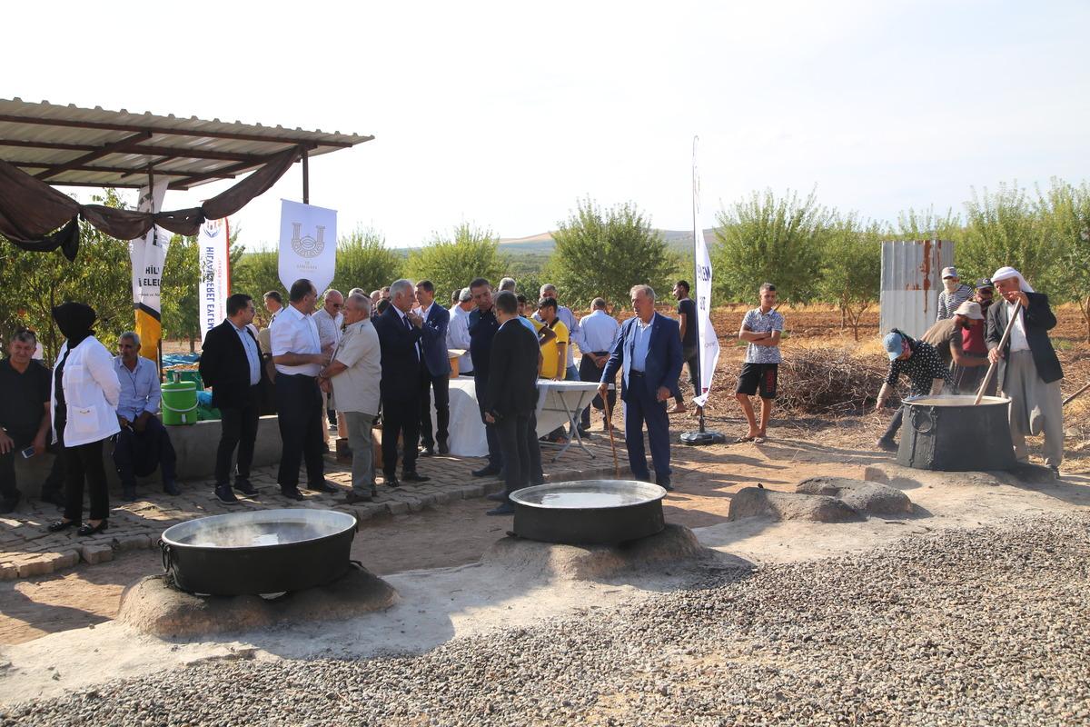 Şanlıurfa'da "Ovacık bağ bozumu ve şire festivali"