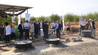 Şanlıurfa'da Ovacık bağ bozumu ve şire festivali