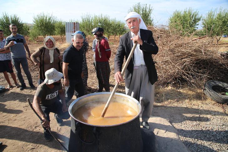 Şanlıurfa'da "Ovacık bağ bozumu ve şire festivali" G2