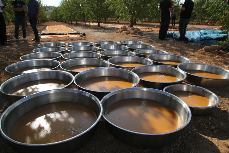 Şanlıurfa'da "Ovacık bağ bozumu ve şire festivali" G3