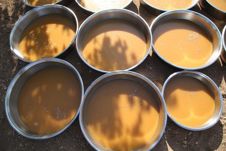 Şanlıurfa'da "Ovacık bağ bozumu ve şire festivali" G4