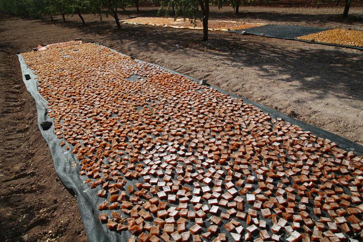 Şanlıurfa'da "Ovacık bağ bozumu ve şire festivali" G5