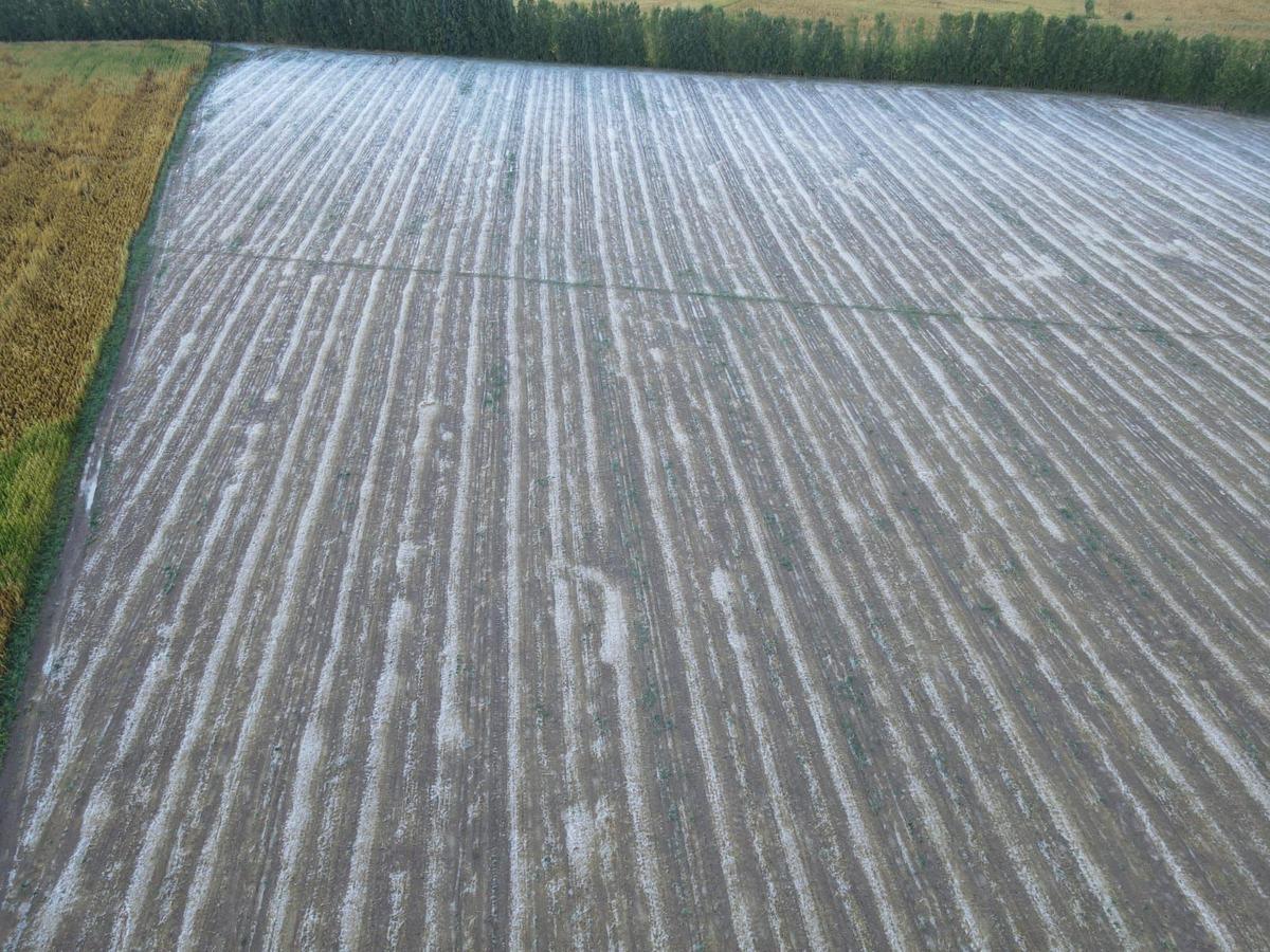 Tokat'ta sağanak ve dolu etkili oldu