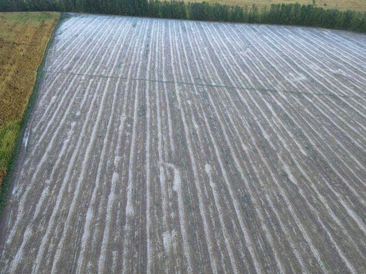 Tokat'ta sağanak ve dolu etkili oldu G1