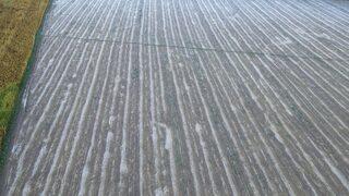 Tokat'ta sağanak ve dolu etkili oldu