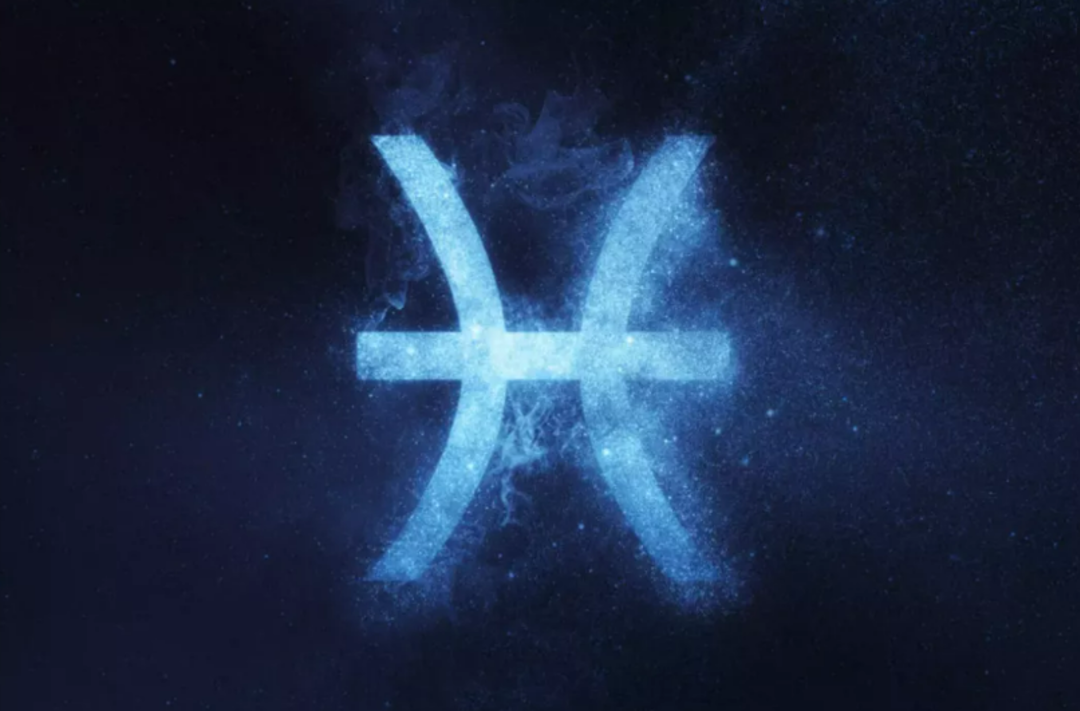  BALIK BURCU