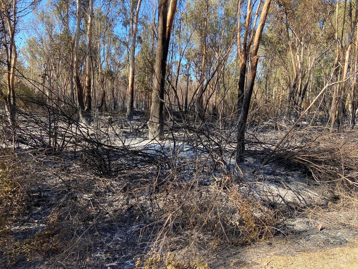 Antalya'nın Kaş il&ccedil;esindeki yangın kontrol altına alındı