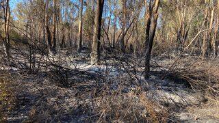 Antalya'nın Kaş ilçesindeki yangın kontrol altına alındı