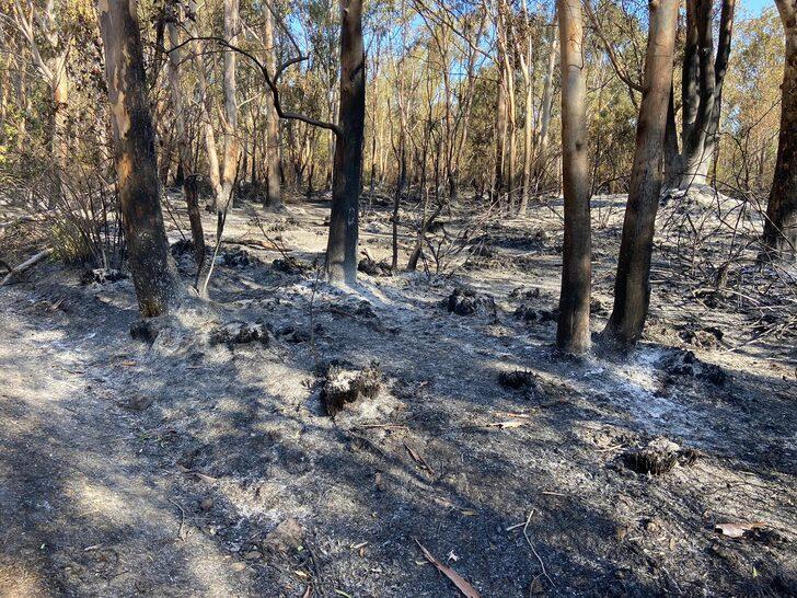 Antalya'nın Kaş ilçesindeki yangın kontrol altına alındı G3