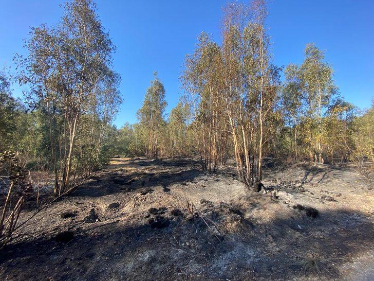 Antalya'nın Kaş ilçesindeki yangın kontrol altına alındı G4