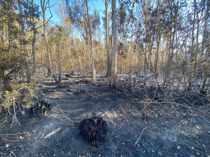 Antalya'nın Kaş ilçesindeki yangın kontrol altına alındı G5