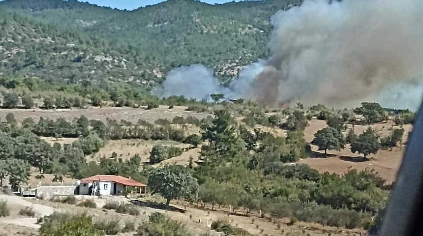 İzmir Bergama'da orman yangını! Ekiplerin müdahalesi başladı