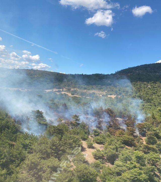 İzmir Bergama'da çıkan orman yangınına müdahale ediliyor 
