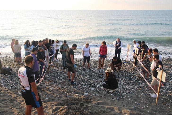 Temizlik etkinliğinde yuvadan çıkan deniz kaplumbağası yavruları denizle buluştu G3