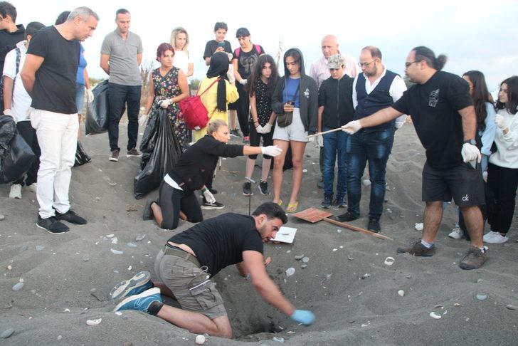 Temizlik etkinliğinde yuvadan çıkan deniz kaplumbağası yavruları denizle buluştu G4