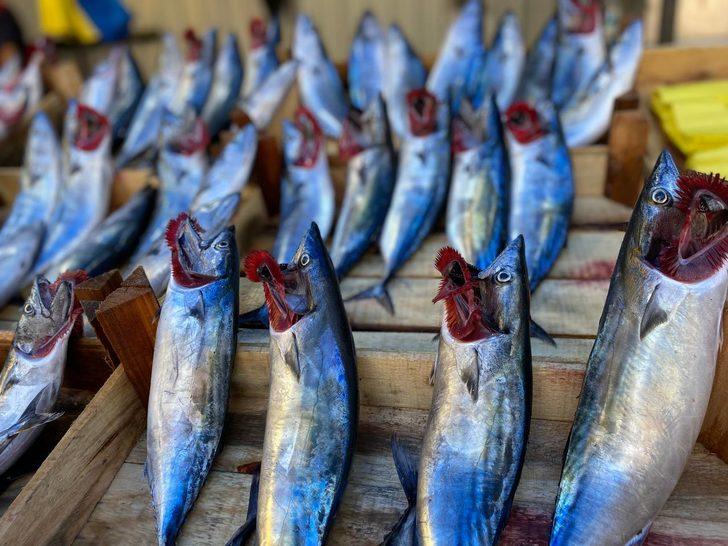 Zonguldak'ta yağış, balık fiyatlarını yükseltti G4