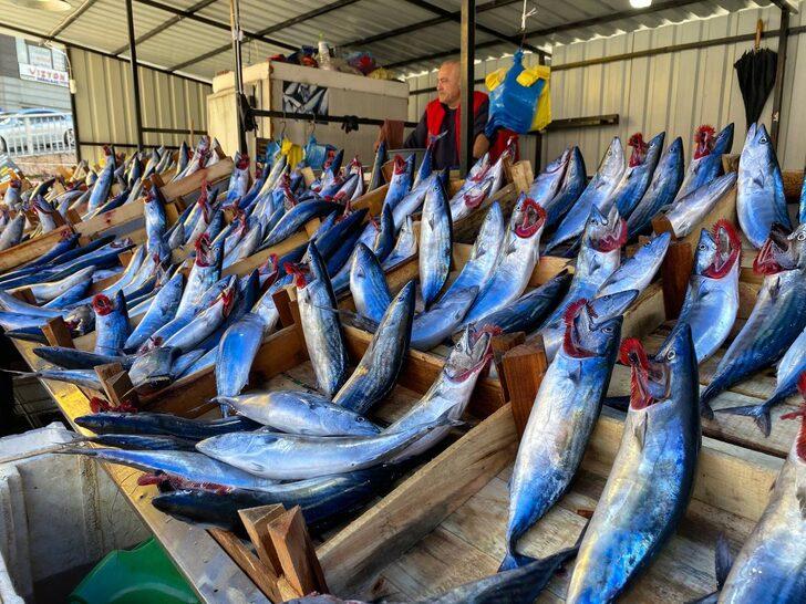 Zonguldak'ta yağış, balık fiyatlarını yükseltti G5