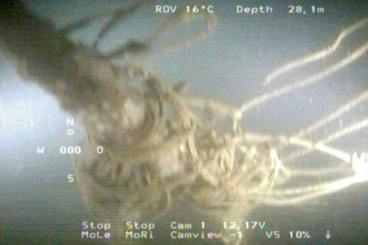 Tarihi değiştirecek ilginç keşif! Komplo teorilerini ateşledi... “Hitler intihar etmedi mi?” iddiası gündemde G2