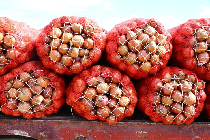 Tescilli Tekirdağ soğanında 3 bin ton rekolte bekleniyor G2