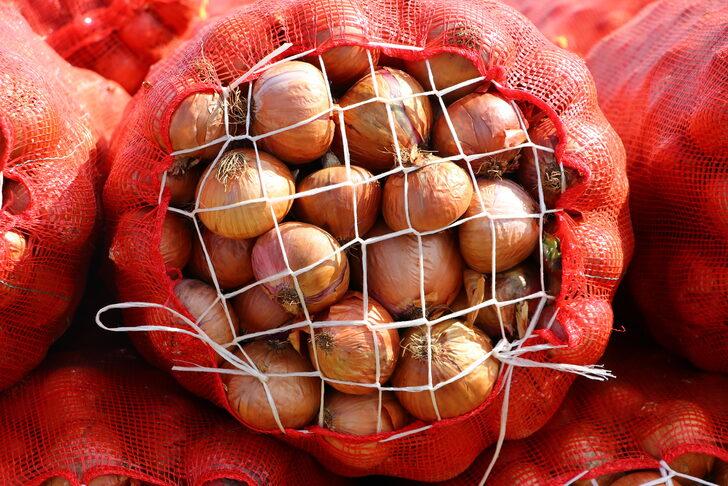 Tescilli Tekirdağ soğanında 3 bin ton rekolte bekleniyor G4