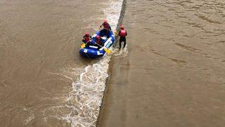 Rize'de derede mahsur kalan köpeği AKUT kurtardı