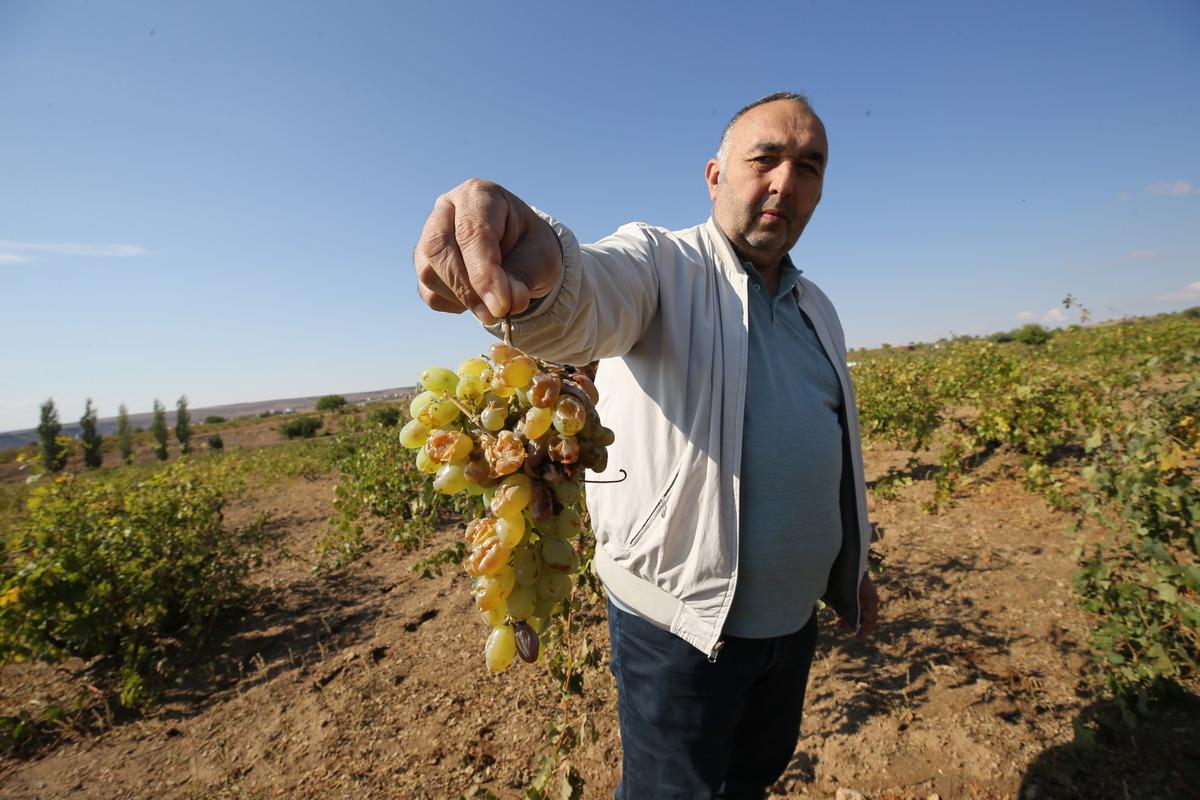 Nevşehir'de dolu ve selden zarar g&ouml;ren k&ouml;ylerde hasar tespit &ccedil;alışması
