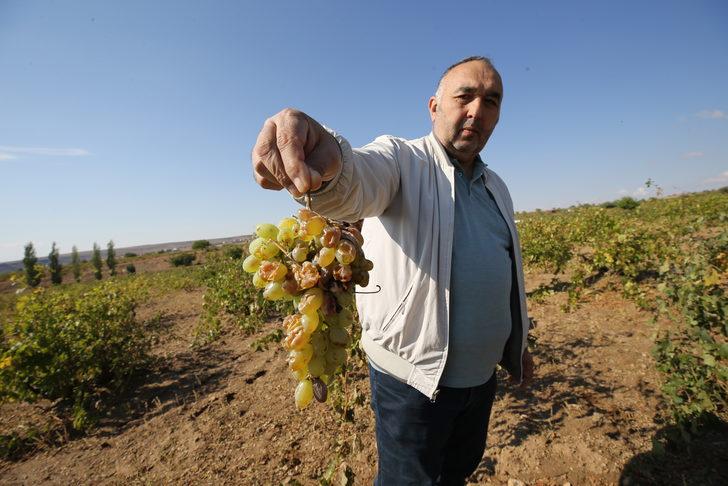 Nevşehir'de dolu ve selden zarar gören köylerde hasar tespit çalışması G1