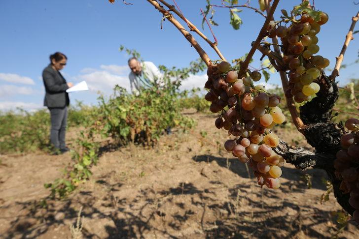Nevşehir'de dolu ve selden zarar gören köylerde hasar tespit çalışması G3