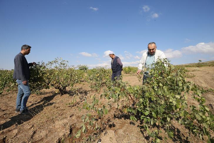 Nevşehir'de dolu ve selden zarar gören köylerde hasar tespit çalışması G4