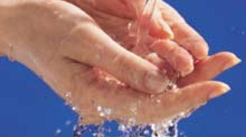 Elleriniz İ&ccedil;in Doğal Dezenfektan