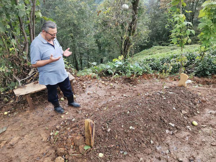 Trabzon'da üç kardeş 23 gün içinde vefat etti G1