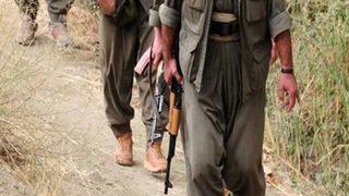 PKK, Mardin Dargeçit'te polise saldırdı