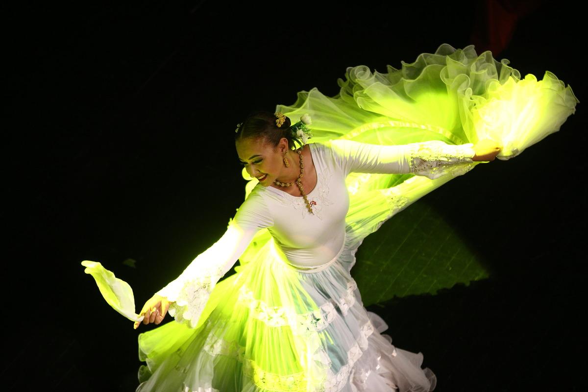 Paraguay dans grubu Ballet Movimientos, Mersin'de g&ouml;steri yaptı