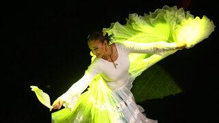 Paraguay dans grubu Ballet Movimientos, Mersin'de gösteri yaptı