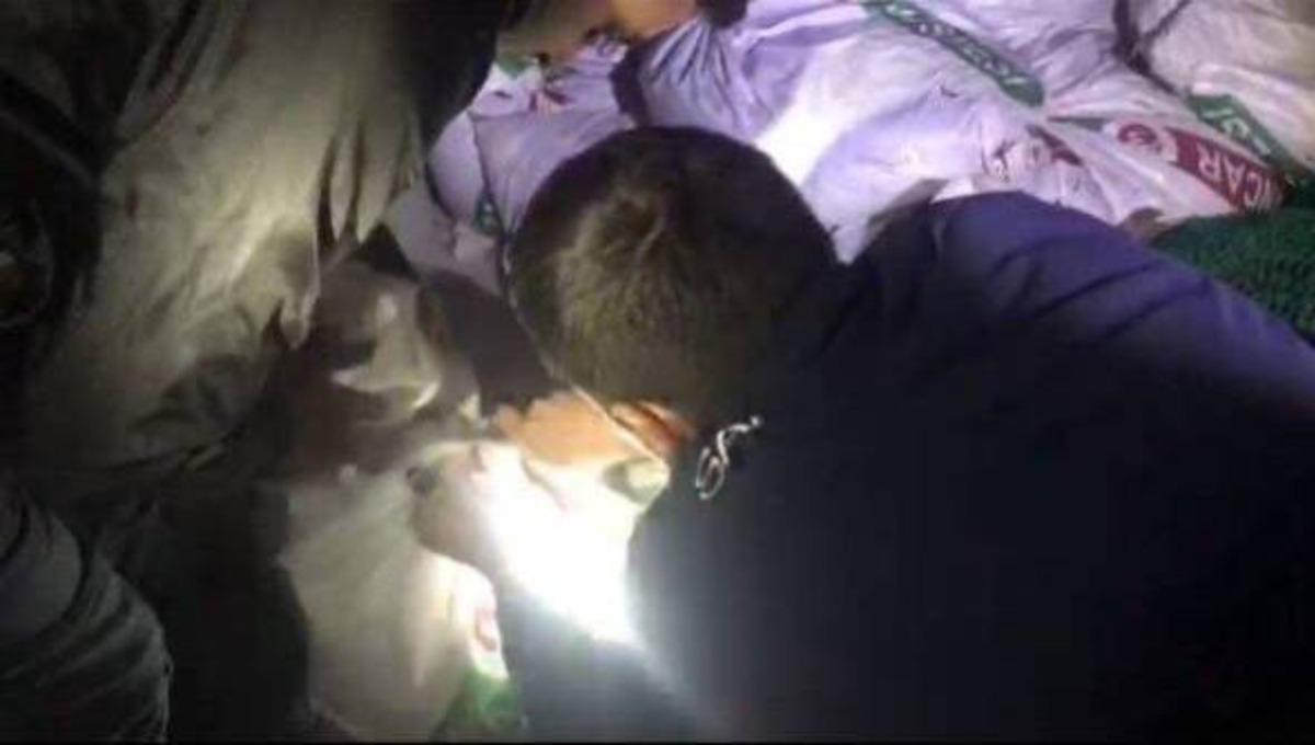 Balıkesir'de ka&ccedil;ak avlanılan 750 kilogram deniz patlıcanına el konuldu