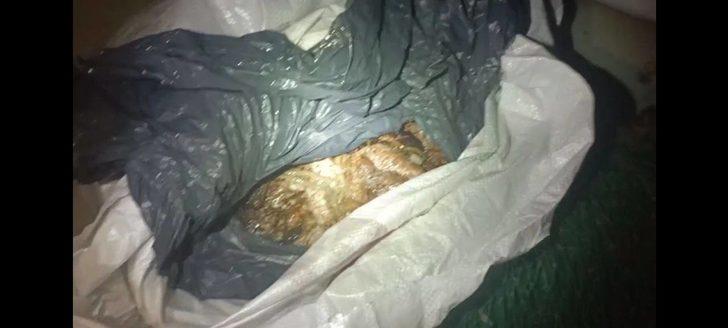 Balıkesir'de kaçak avlanılan 750 kilogram deniz patlıcanına el konuldu G2