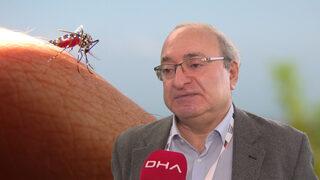 Dünyanın en tehlikeli hayvanı diyerek açıkladı! Prof. Dr. Kadıoğlu: Sayıları artıyor