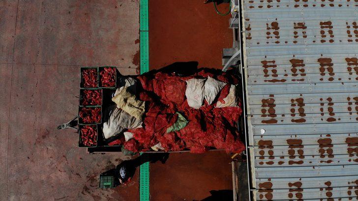 Bursa'dan Hollanda'ya "Kulaca biber salçası" sevkiyatı kasımda başlayacak G2